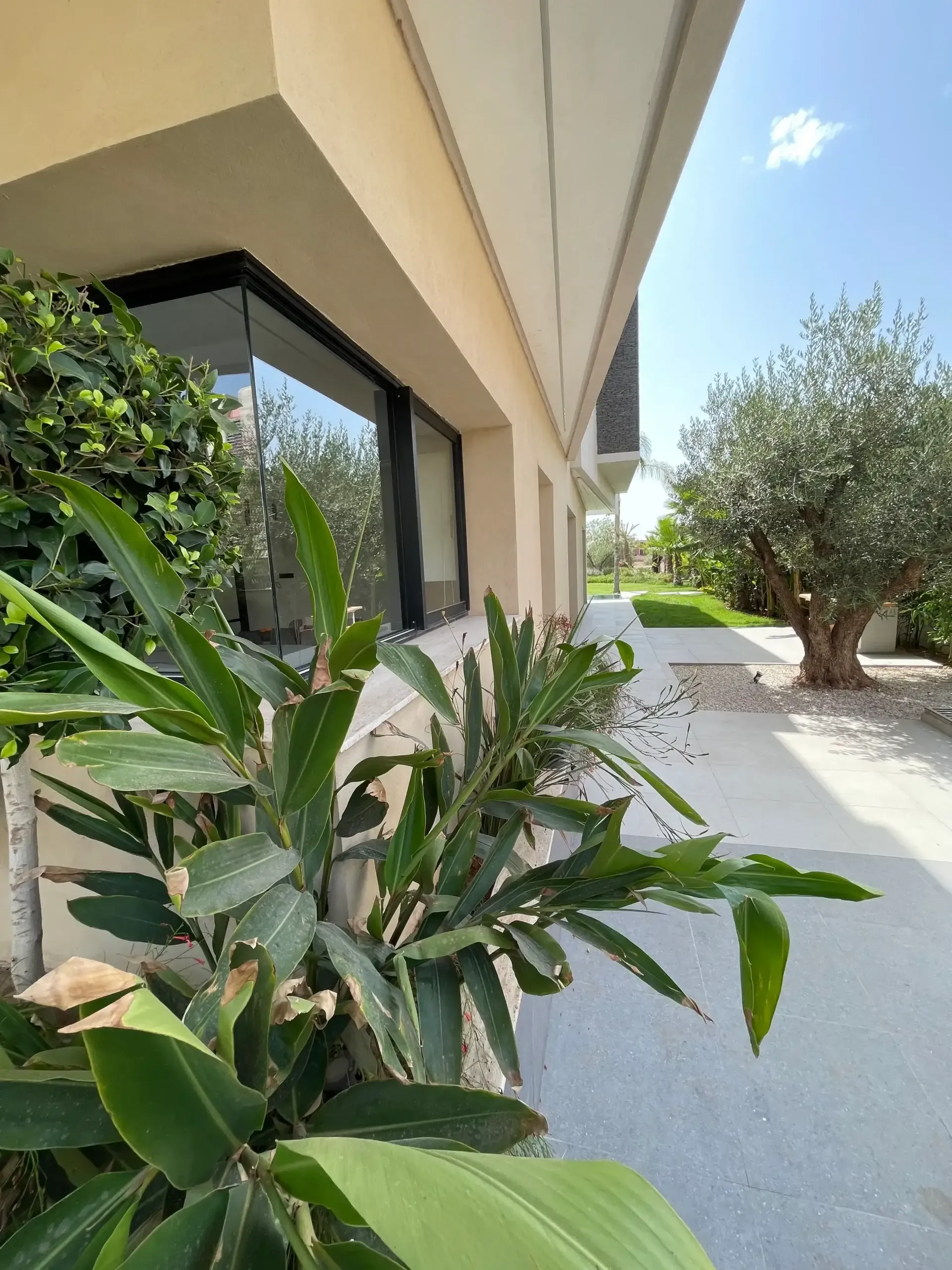 Villa contemporaine de prestige — DOMAINE GOLFIQUE ARGAN, Marrakech — photo 4