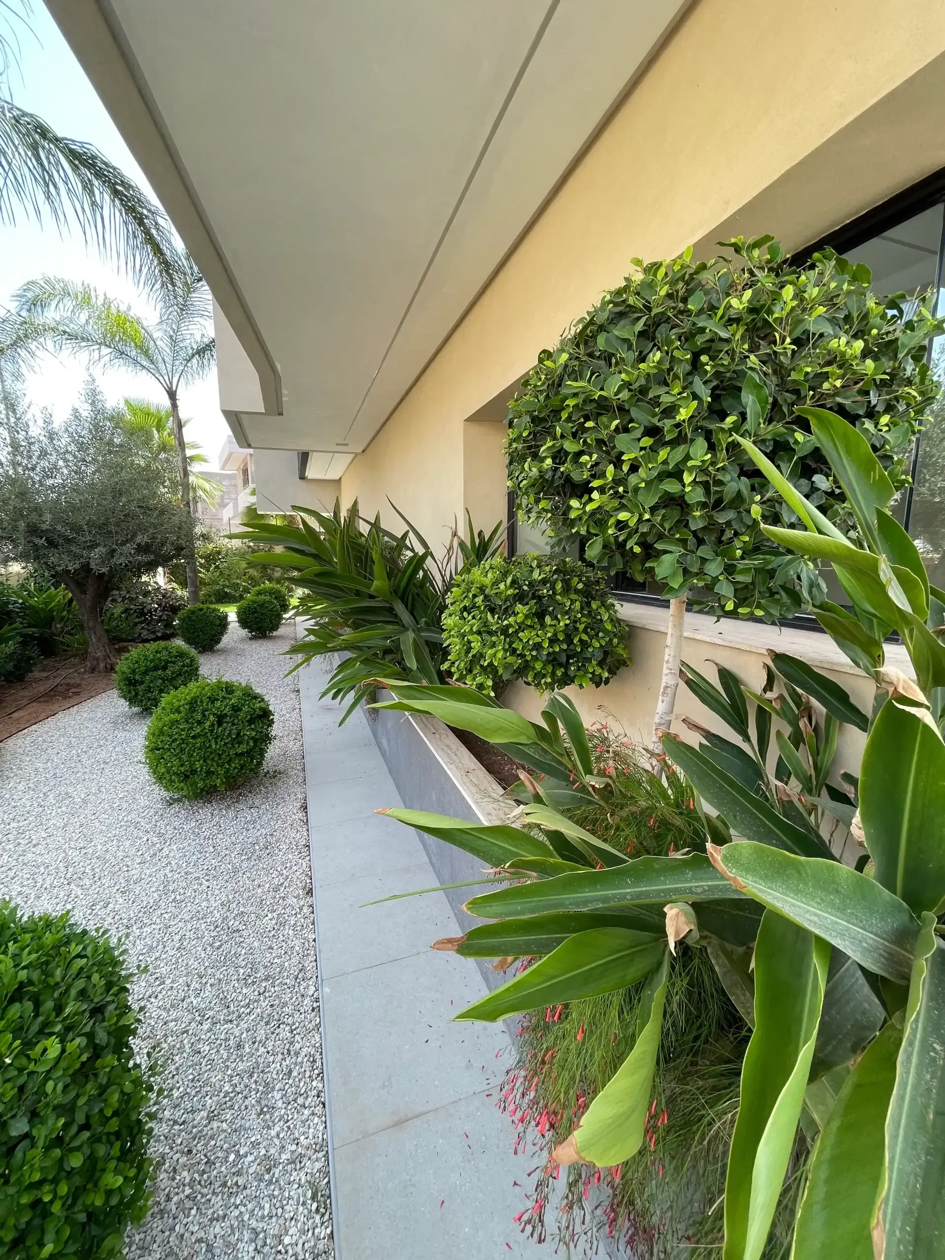 Villa contemporaine de prestige — DOMAINE GOLFIQUE ARGAN, Marrakech — photo 6