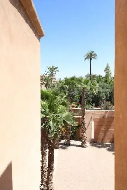 Villa Telouet – Palmeraie de Marrakech — PALMERAIE, Marrakech — photo 18